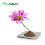 Echinacea purpurea ekstrakt u prahu